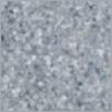 Click Here To Enlarge This Photo Of Rotospa Duraspa